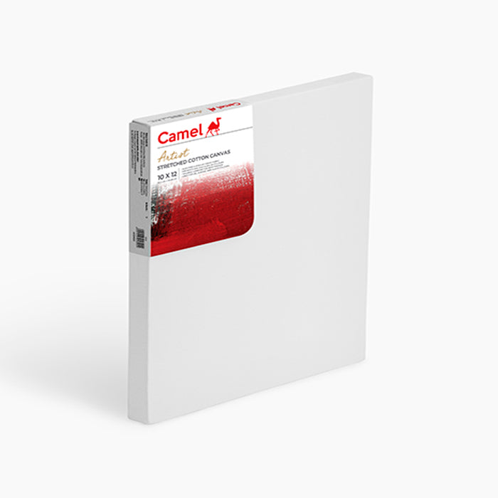 Camel Stretched Canvas (Choose Sizes)