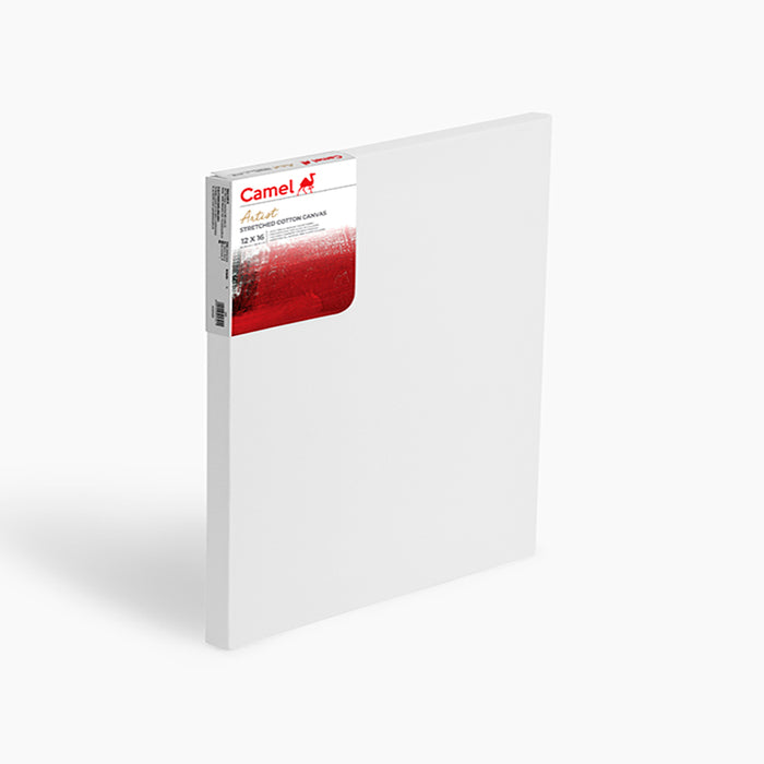 Camel Stretched Canvas (Choose Sizes)