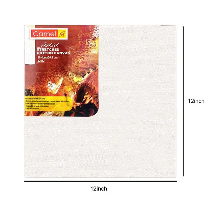 Camel Stretched Canvas (Choose Sizes)