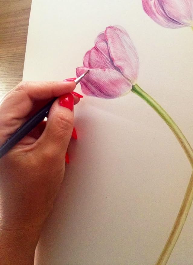 Brustro 100% Cotton Watercolour Paper 300 GSM Rough 15 Sheets