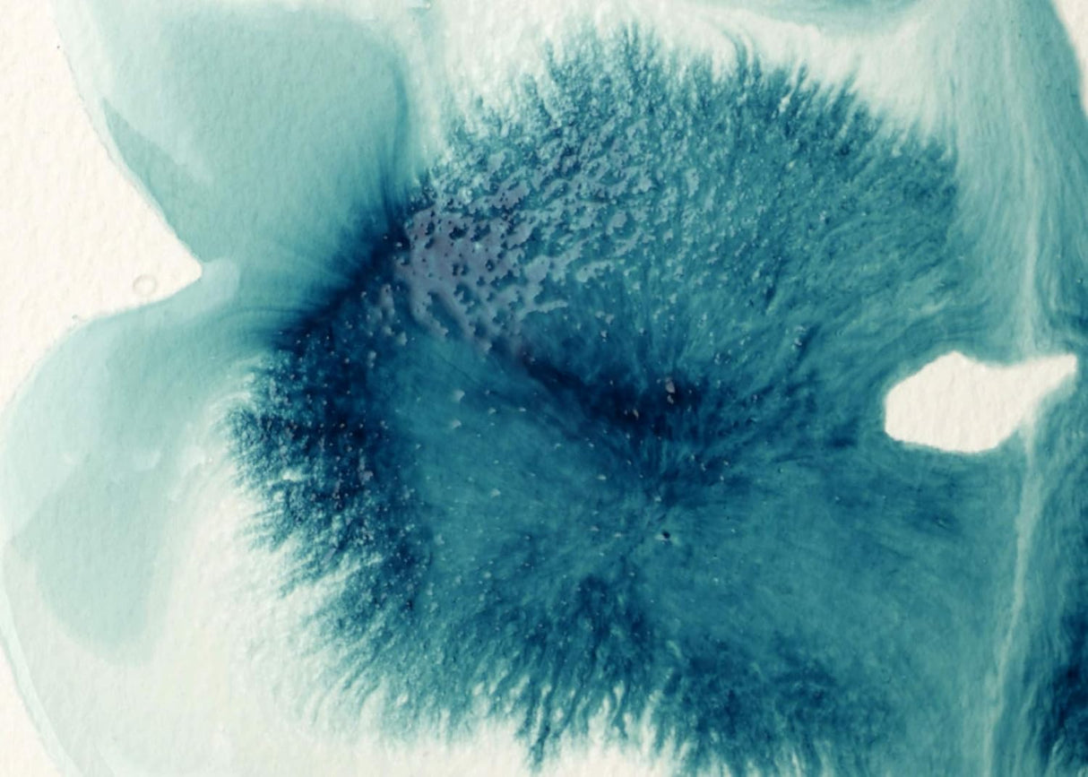 Liquitex Professional Acrylic Medium - Flow-Aid Additive - 118ml