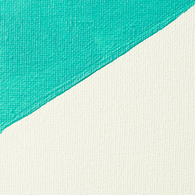 Liquitex Professional Acrylic Medium - Gesso White - Choose Size