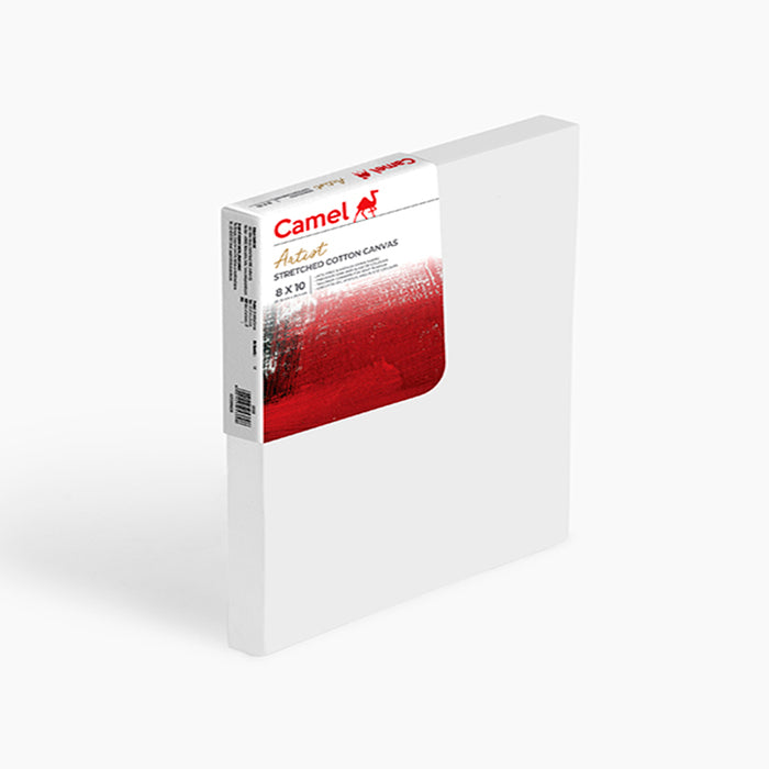 Camel Stretched Canvas (Choose Sizes)