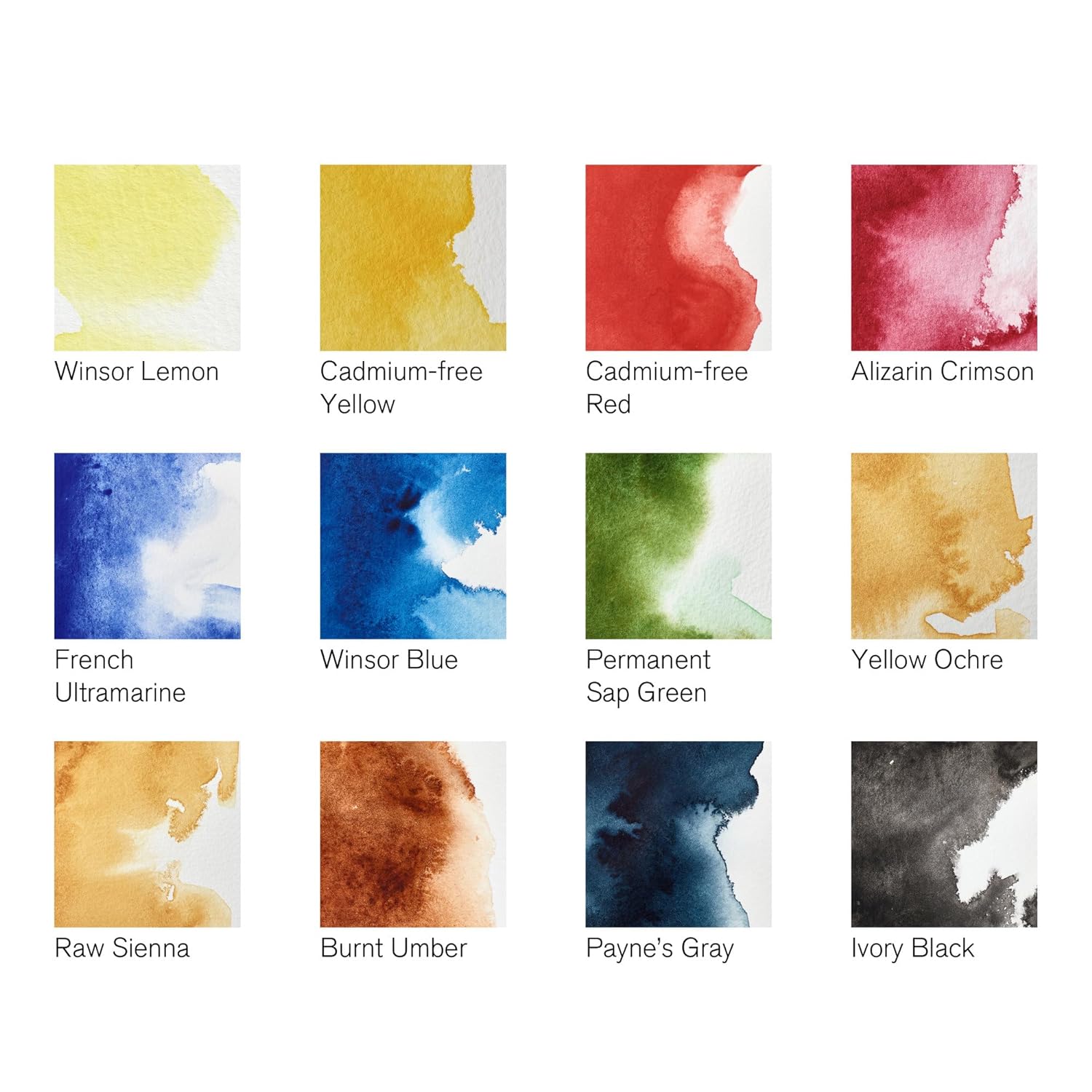 Winsor And Newton Professional Water Colour - Black Box 12 Half Pans Set