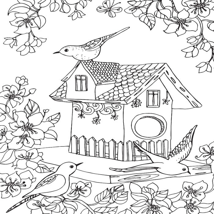 Dreamland Adult Colouring Books (Choose Designs)