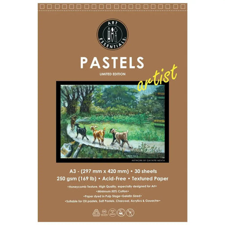Art Essentials Artist Pastel Artist Paper-250 GSM,50% Pure Cotton Wiro Pads,20SHT with Micro-Perforation Art Essentials
