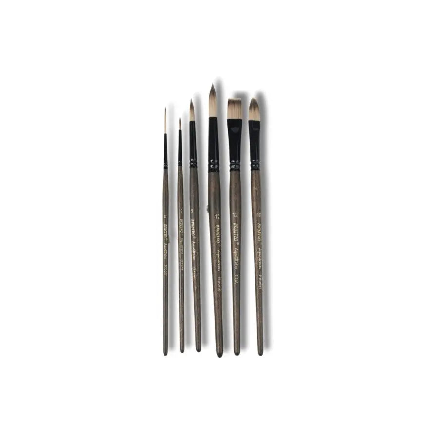 Brustro Aquastrokes Artist Brushes Set of 6 Brustro