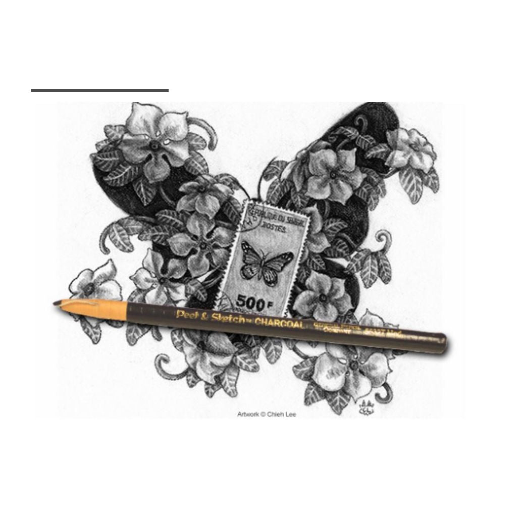 General Peel & Sketch Charcoal Pencil