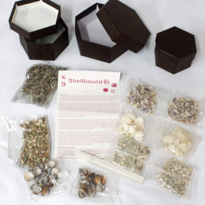 Shellbound ���������������ï¿