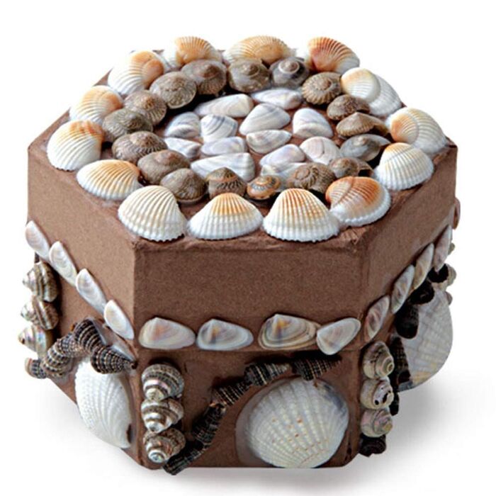 Shellbound ���������������ï¿