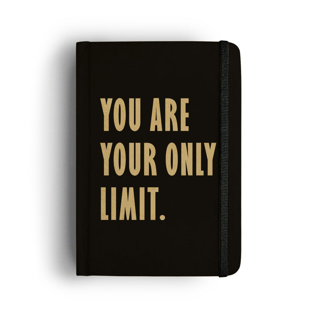 Mooch Diary You Are Your Only Limit
