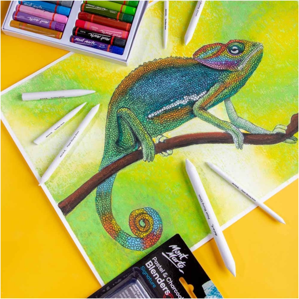 Shaded Artwork Created Using Mont Marte Charcoal Blenders