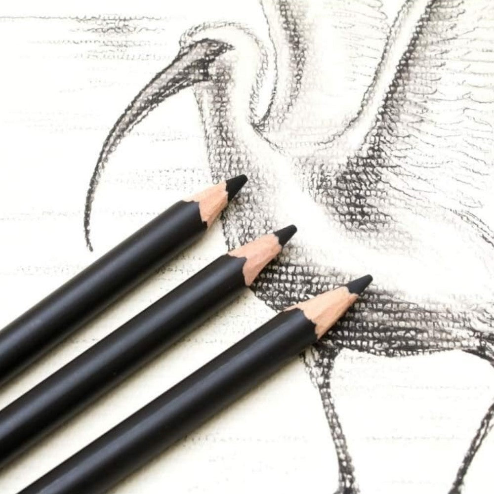 Fine Detail Drawing Using Mont Marte Charcoal Pencil Set
