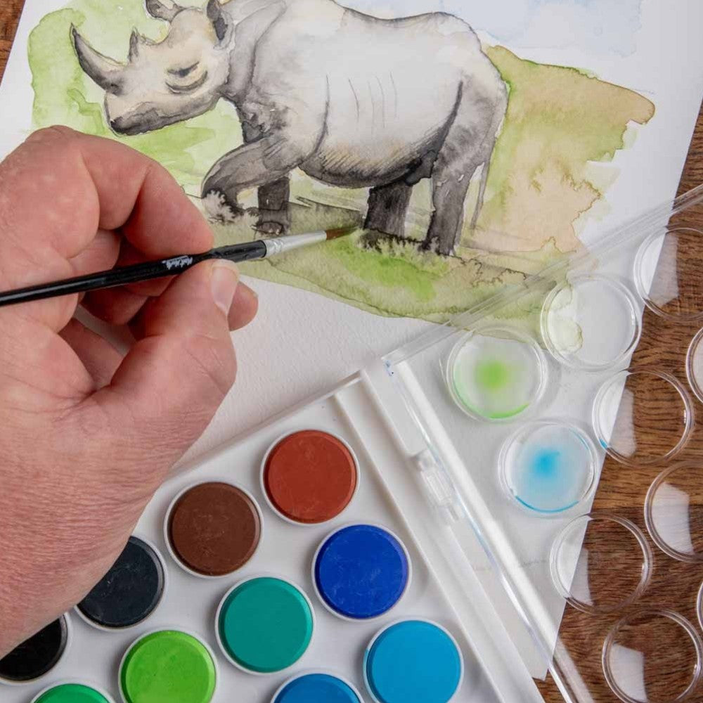 Wide Range of Colours in use - Mont Marte Set of 29 Watercolours