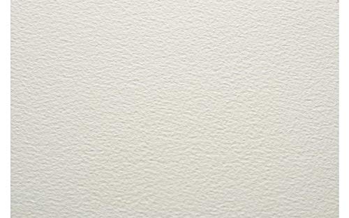 Fabriano Artistico Watercolour Paper 300gsm 22x30in HP 1 Sheet