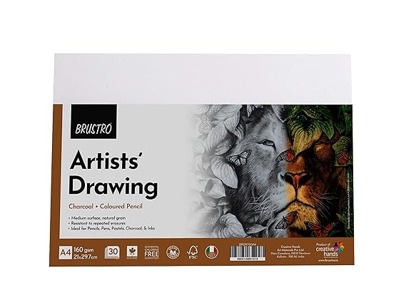 Brustro Drawing Paper A4 160 GSM 30 Sheets Pack