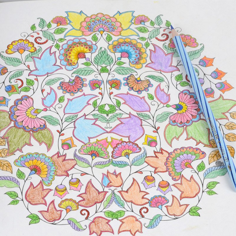 Staedtler Luna Water Colour Pencil Pack of 48