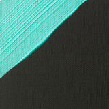 Liquitex Professional Acrylic Medium - Gesso Black - 237ml