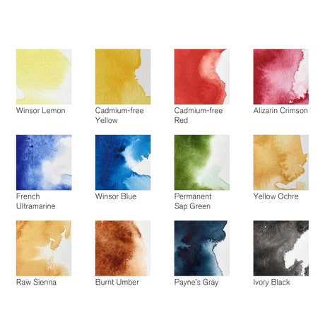 Winsor And Newton Professional Water Colour - Black Box 12 Half Pans Set