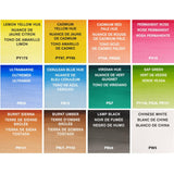 Winsor & Newton Cotman Water Colours - Pocket Plus 12 Half Pans Set