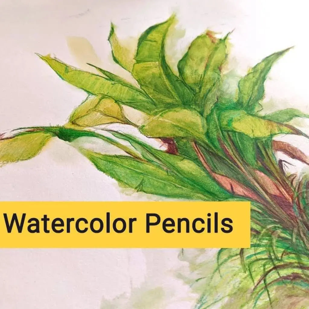 Brustro Artists Watercolour Pencil Sets Brustro