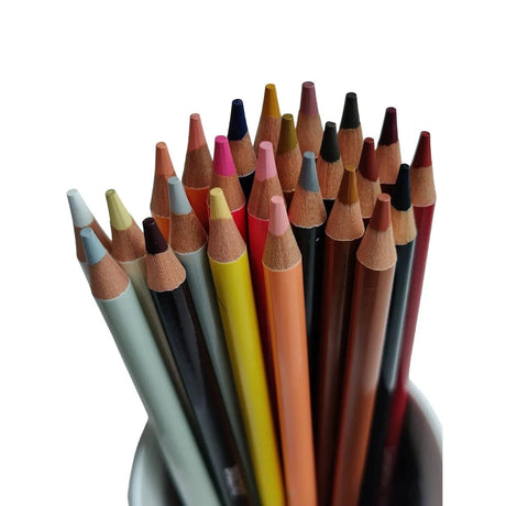 Brustro Skin Tone Coloured Pencils Set of 24 Brustro