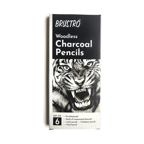 Brustro Woodless Charcoal Pencils Set Of 6 Brustro
