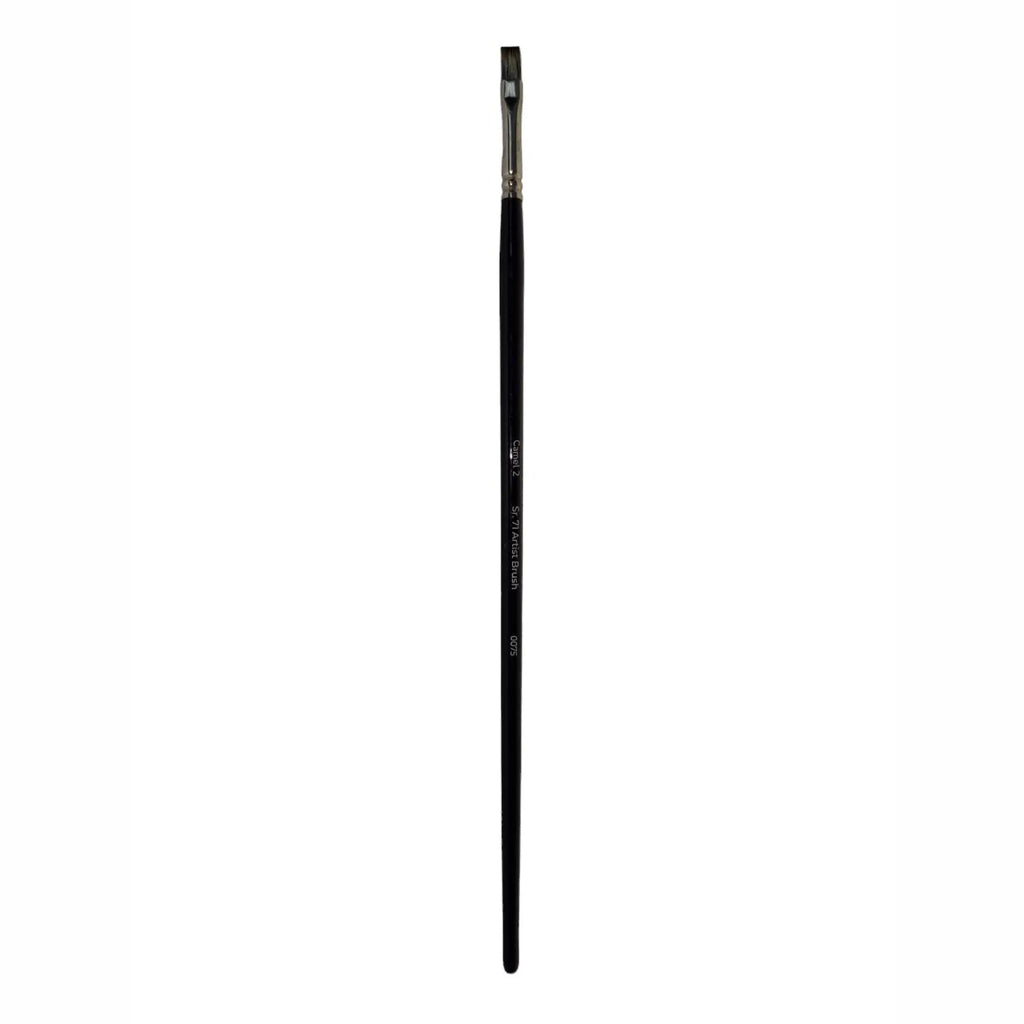 Camel Artist Brushes Synthetic taklon brushes with long hand loose brushes (Series 70,71 & 72) Camel
