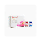 Camel Coloured Drawing Ink Set Camel