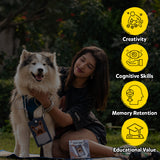 iCraft Felt Dog Pouch Craft Kit for Kids - Stitch & Create iCraft
