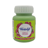 Pidilite Fevicryl Acrylic Colours 100ml Pidilite