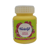 Pidilite Fevicryl Acrylic Colours 100ml Pidilite