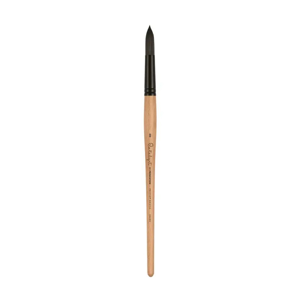 Princeton Catalyst Polytip Bristle 6400 Series For Acrylic and Oil Paintings Princeton