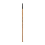Princeton Catalyst Polytip Bristle 6400 Series For Acrylic and Oil Paintings Princeton
