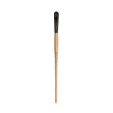 Princeton Catalyst Polytip Bristle 6400 Series For Acrylic and Oil Paintings Princeton