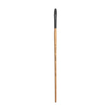 Princeton Catalyst Polytip Bristle 6400 Series For Acrylic and Oil Paintings Princeton