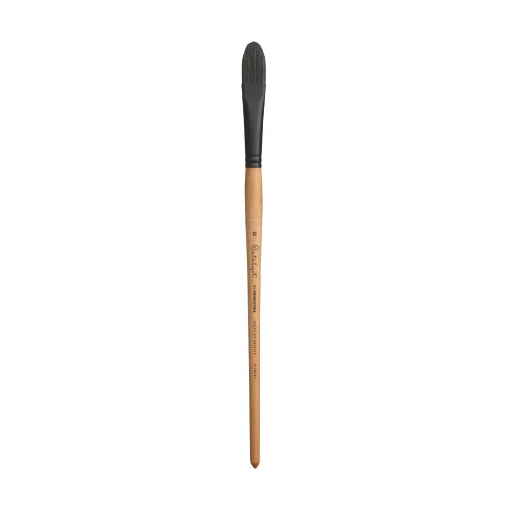 Princeton Catalyst Polytip Bristle 6400 Series For Acrylic and Oil Paintings Princeton