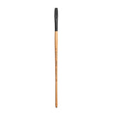 Princeton Catalyst Polytip Bristle 6400 Series For Acrylic and Oil Paintings Princeton