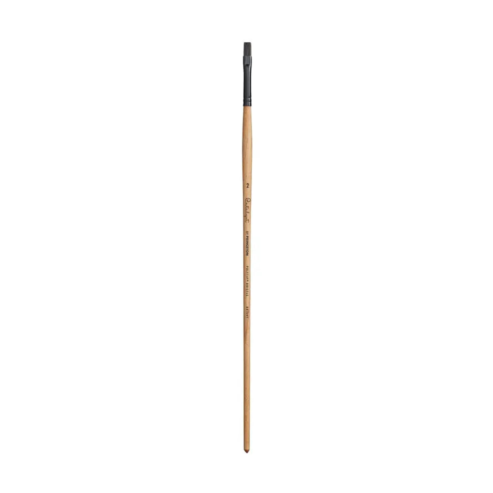 Princeton Catalyst Polytip Bristle 6400 Series For Acrylic and Oil Paintings Princeton