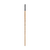 Princeton Catalyst Polytip Bristle 6400 Series For Acrylic and Oil Paintings Princeton
