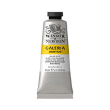 Winsor & Newton Galeria Acrylic Colour Tubes - 60ml (Loose Colours) Winsor & Newton