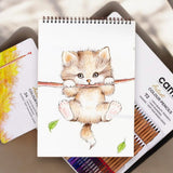 Camlin Artist Colour Pencils - 24 & 72 Shades - Wax-Based Sets