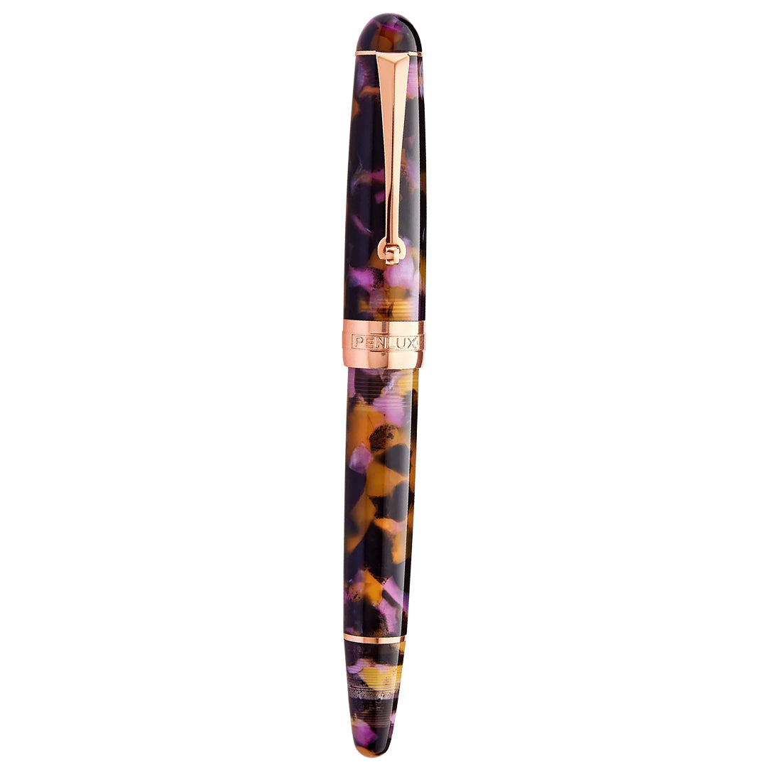 Penlux | Masterpiece Delgado | Fountain Ink Pen | Euploea | Brown Black | Piston Filling Penlux
