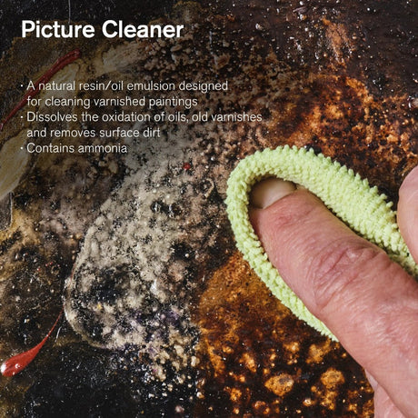 Winsor & Newton Artists' Picture Cleaner for Oil Paintings